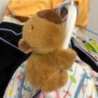 Bracelet Capybara word1