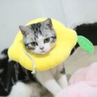 Super Soft Plush Cat Cone Collar word3
