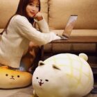 Kawaii Melonwan Plushies word2