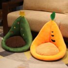 Kawaii Fruit Seat Cushion word3