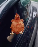 A plush fat chicken, also known as a fat chicken plushie, is hanging on a car door.