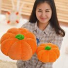 Pumpkin Plush word2