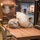 Yuki the Seal Plush and Arale word2