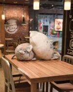 Yuki the Seal Plush resting on a wooden table in a restaurant setting.