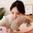 A brown Kawaii Seal Plushie rests in a woman’s arms, showcasing its soft texture.