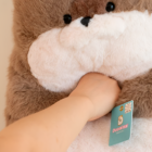 Close-up of a brown Kawaii Seal Plushie, soft plush toy.