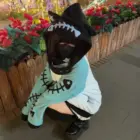 Person wearing a Fish Bone Hoodie with a fish skeleton design and black hood.