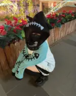 Person wearing a Fish Bone Hoodie with a fish skeleton design and black hood.