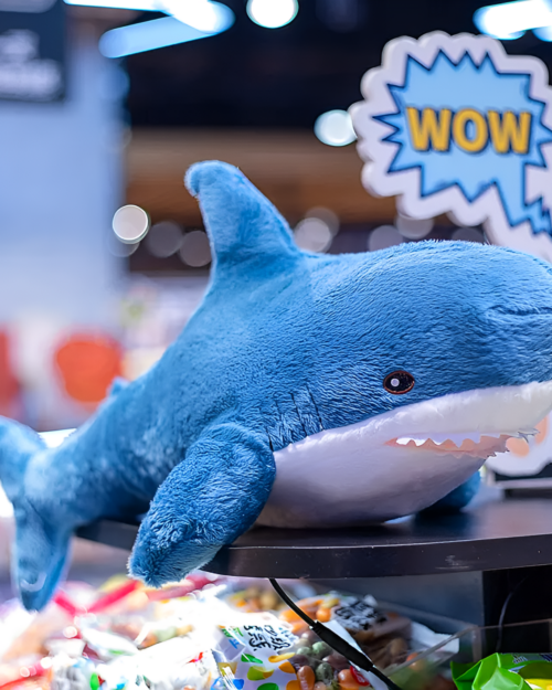 Blue shark plushie, Alfred the Shark, displayed on a wooden table.