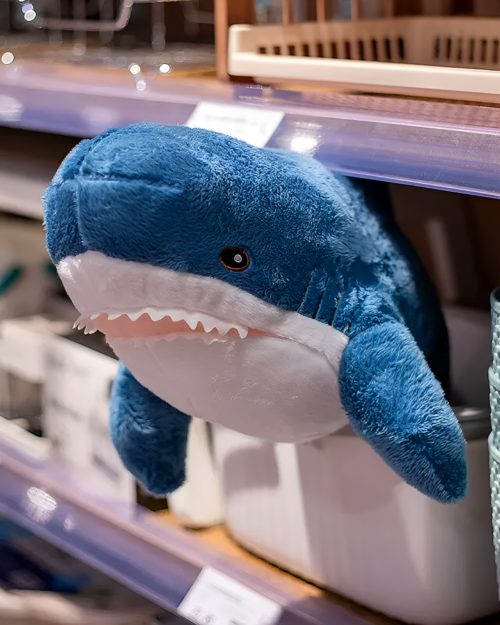 Blue shark plushie, Alfred the Shark, displayed on a shelf.