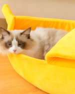 Yellow cute cat beds featuring a cat resting inside a banana-shaped plush bed.