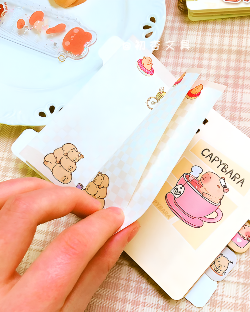 Capybara Notebook Collection featuring cute illustrations of capybaras and related items.