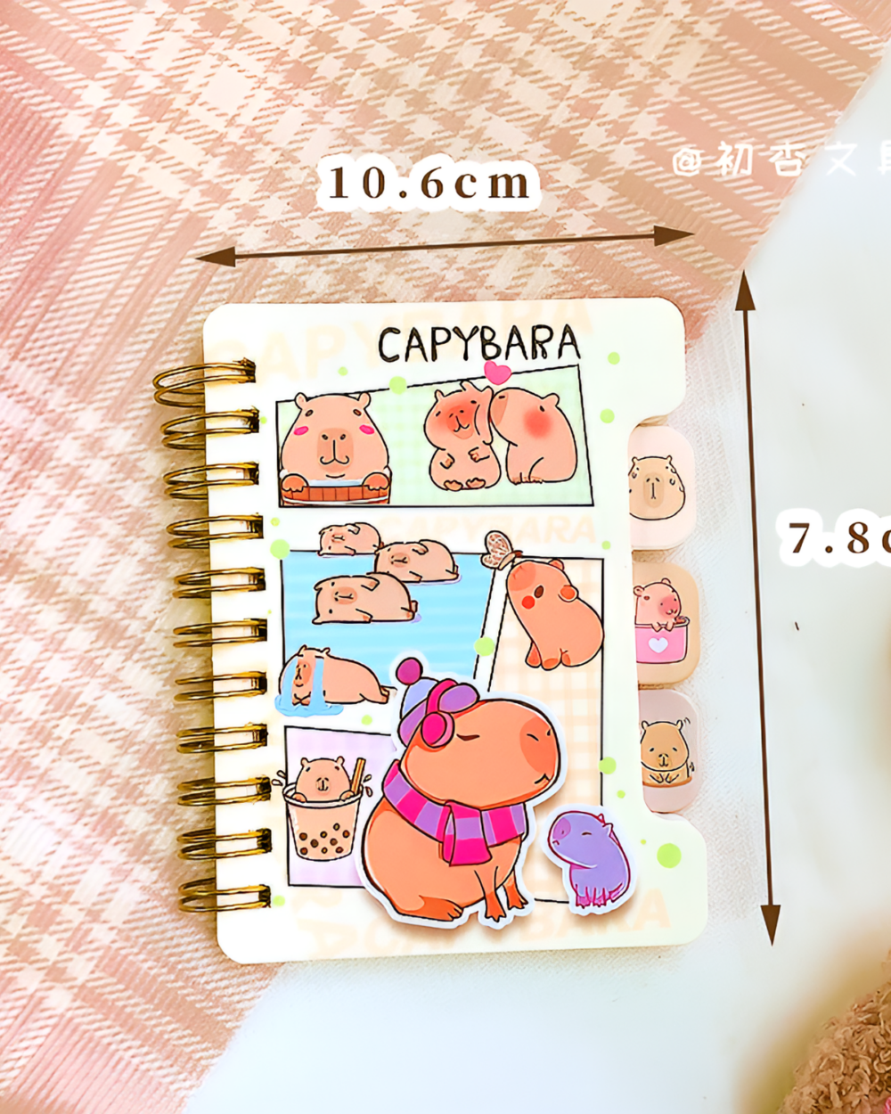 Close-up of a Capybara Notebook featuring illustrations of capybaras and stickers.