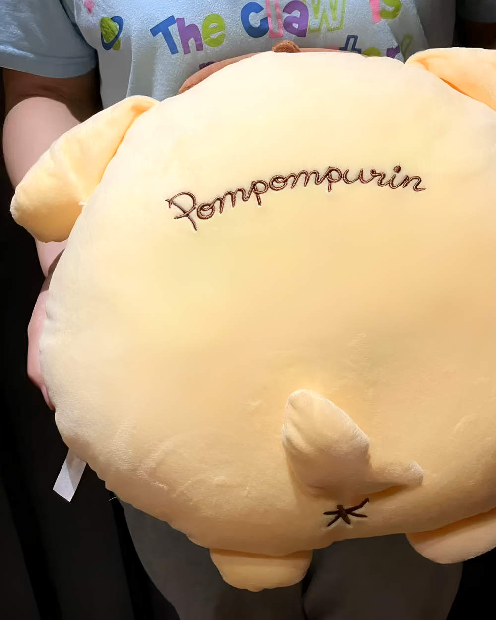 Close-up of a large, cream-colored Chonky Purin Plushie with embroidered details, held by a person.