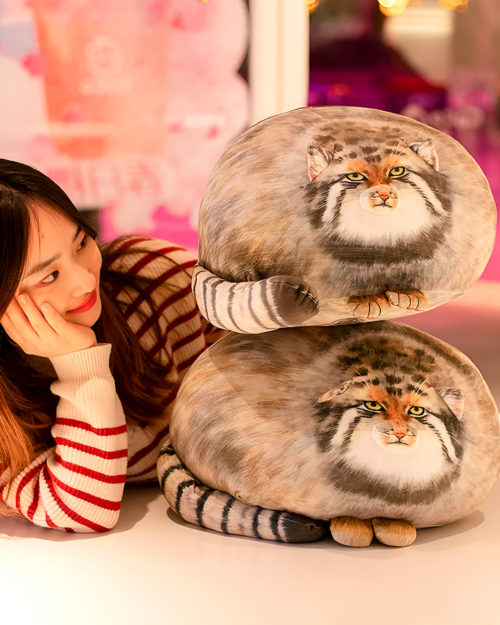 Chonky Realistic Palla's cat plush toy displayed with a person, showcasing its soft texture and design.