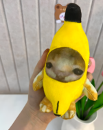 Banana Cat