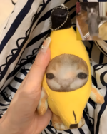 Crying Banana Cat Bag Charm close-up, plush toy with cat face.