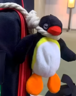 Close-up of a Noosed Penguin Keychain attached to a red backpack. The plush toy features black, white, and orange detailing.