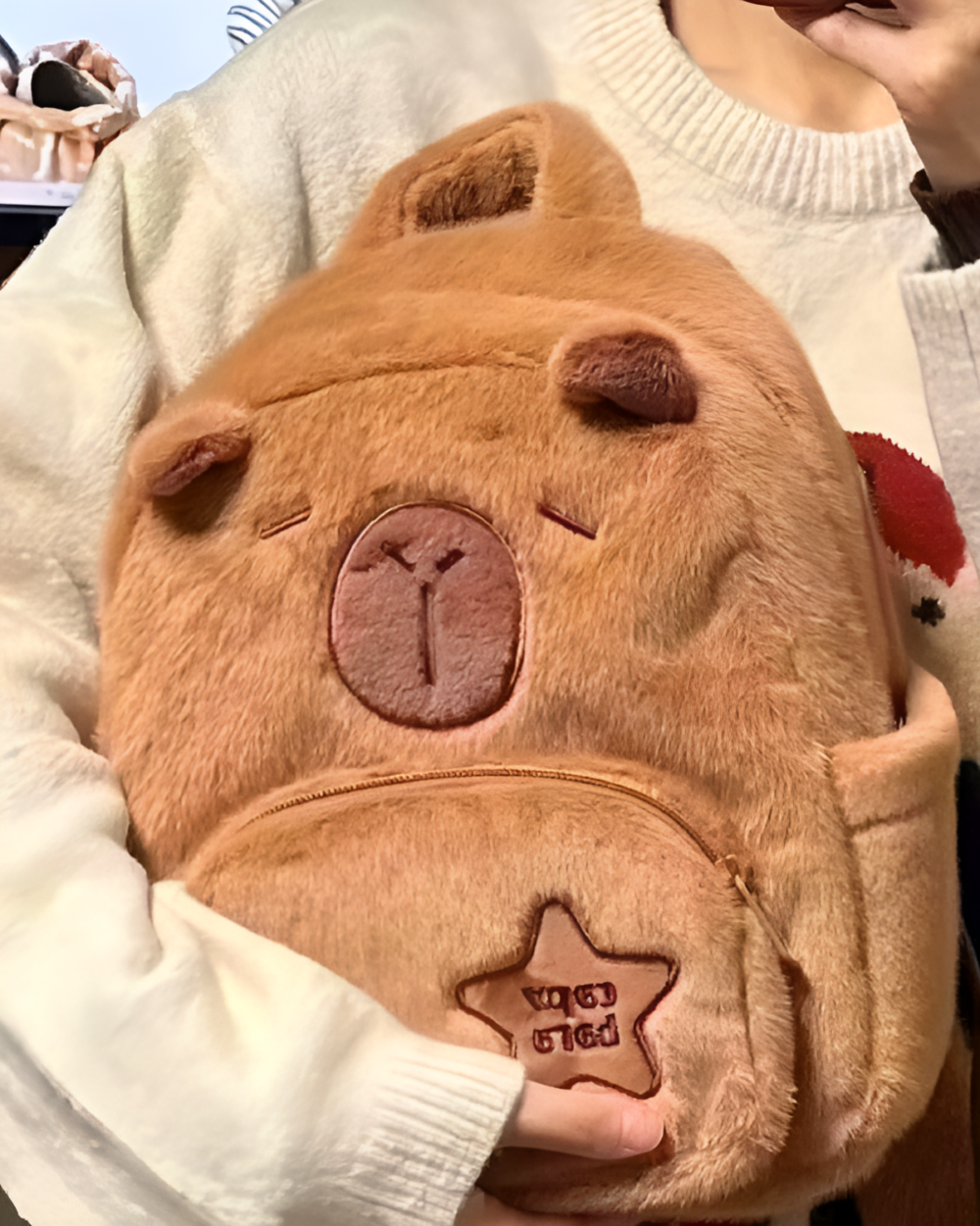 Close-up of a brown Capybara plushie bag with a sewn-on heart design.
